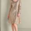 Sancerre Sequin Dress