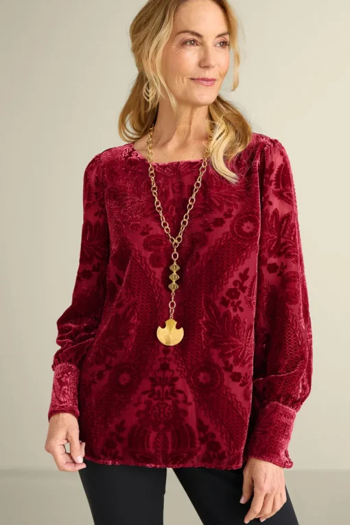 Vanetta Velvet Top