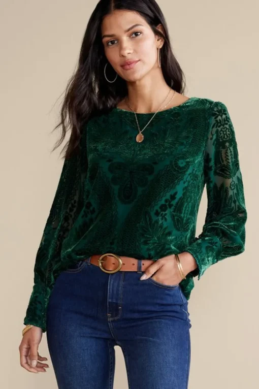 Vanetta Velvet Top