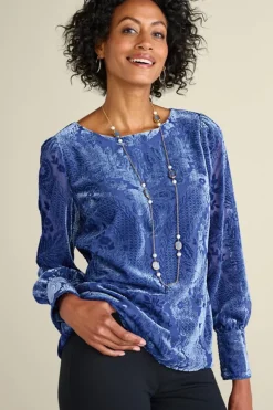 Vanetta Velvet Top