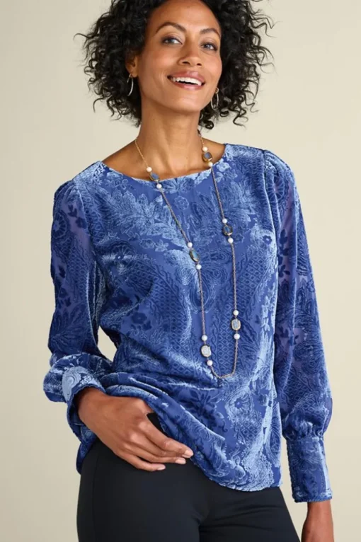 Vanetta Velvet Top