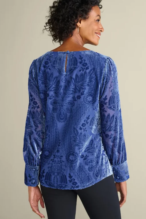 Vanetta Velvet Top