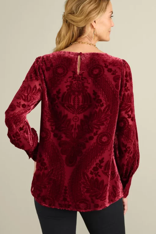 Vanetta Velvet Top