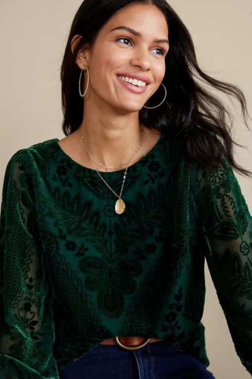 Vanetta Velvet Top