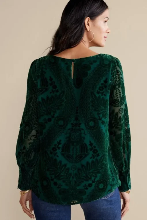 Vanetta Velvet Top