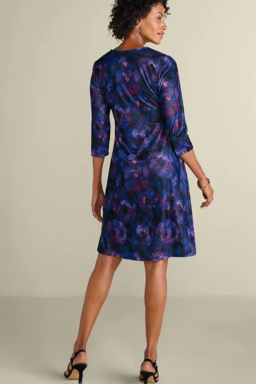 Velvet Hyannis Dress